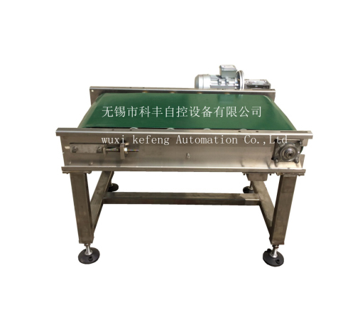 Buffer Conveyor (Transition Conveyor) Buffer Conveyor (Transition Conveyor)